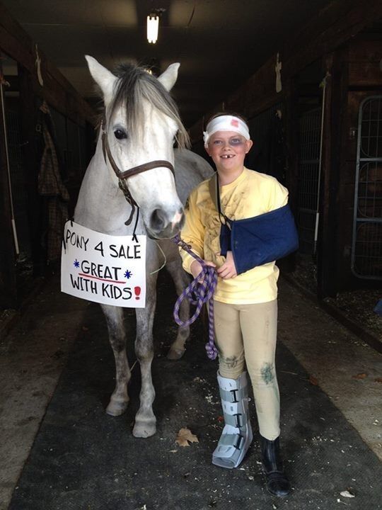 Funny Horse Costume